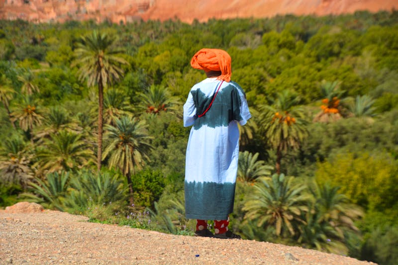 Blick in die Oase - ©Gina Egenolf - Eberhardt TRAVEL