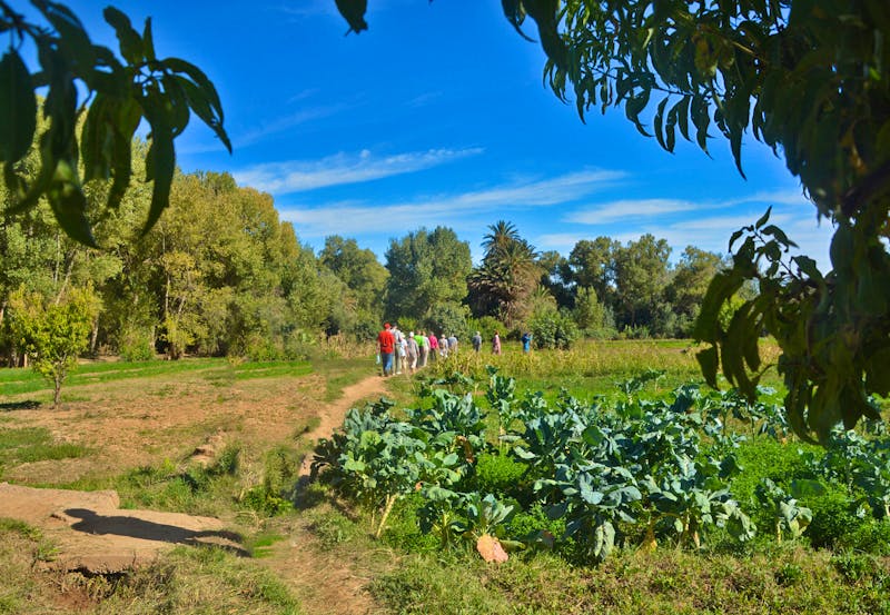 Spaziergang in der Oase von Tinghir - ©Gina Egenolf - Eberhardt TRAVEL