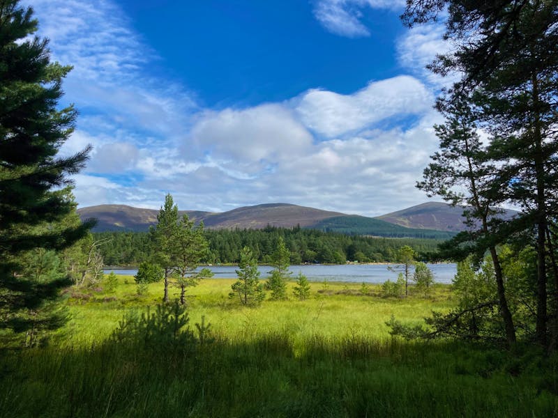 Wanderung um den Loch Morlich in den Cairngorms - ©Andreas Wolfsteller - Eberhardt TRAVEL