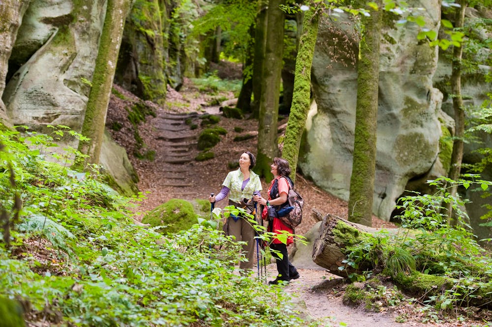 Wandern im Müllerthal in Luxemburg &ndash; &copy; Christoph Hähnel - stock.adobe.com