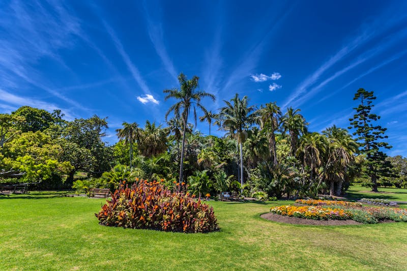 Botanischer Garten in Sydney - ©Benjamin ['O°] Zweig - stock.adobe.com