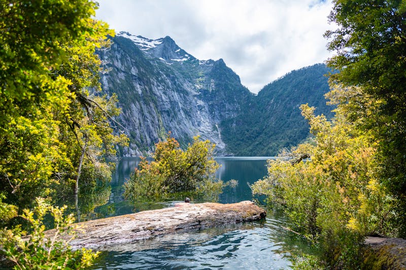 Laguna Triangulo, Parque Nacional Alerce Andino, Puerto Montt, C - ©Antichristh - stock.adobe.com