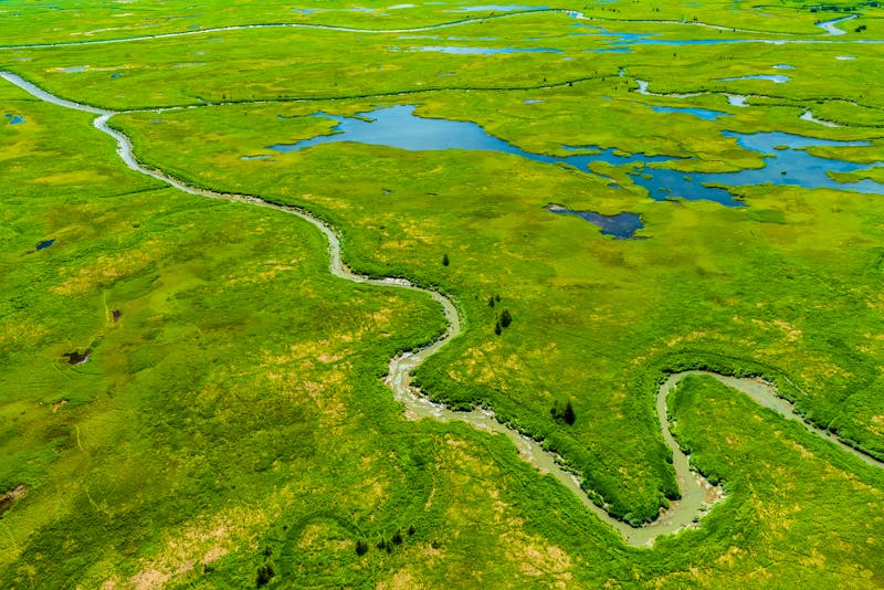 Katmai Nationalpark in Alaska - ©Sunil Singh - stock.adobe.com