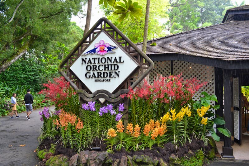 Botanischer Garten in Singapur - ©Laura Wonneberger