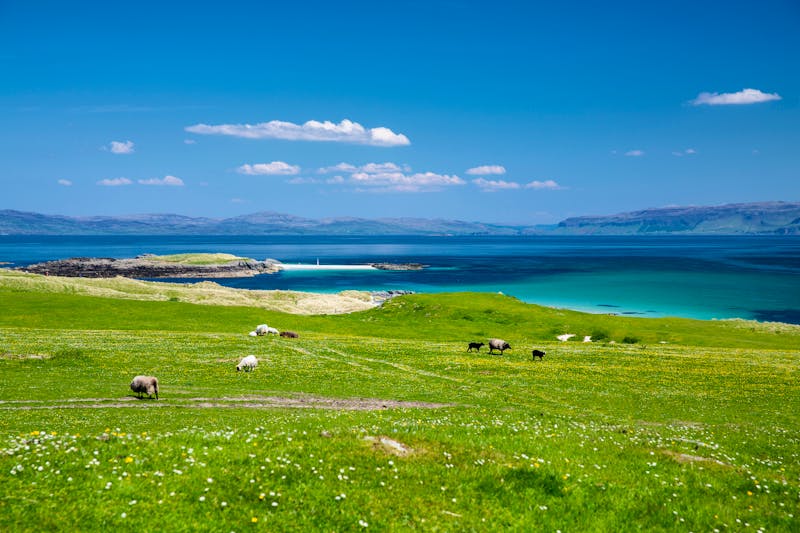 Isle of Iona, Küste - ©Justine - stock.adobe.com