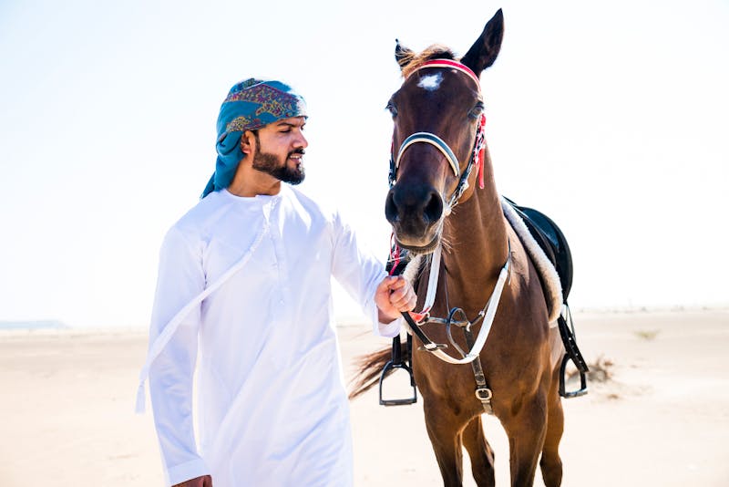 Pferdezucht und Reitertradition in Katar - ©fabio formaggio/EyeEm - stock.adobe.com