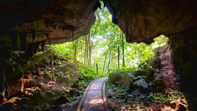 Eingang des Lang Cave im Mulu Nationalpark - ©Claus - stock.adobe.com