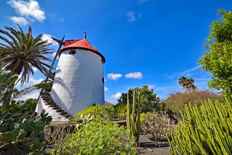 Bauernmuseum El Patio in Tiagua auf Lanzarote - ©dpe123 - stock.adobe.com