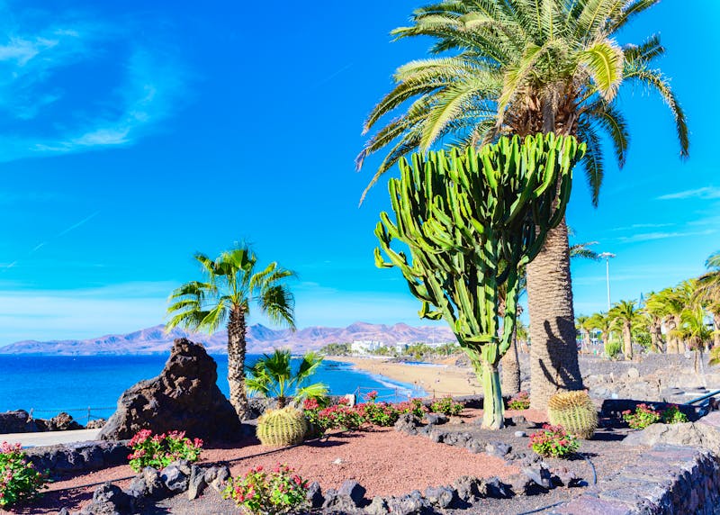 Puerto del Carmen auf Lanzarote - Strandpromenade - ©Liliya Trott - stock.adobe.com