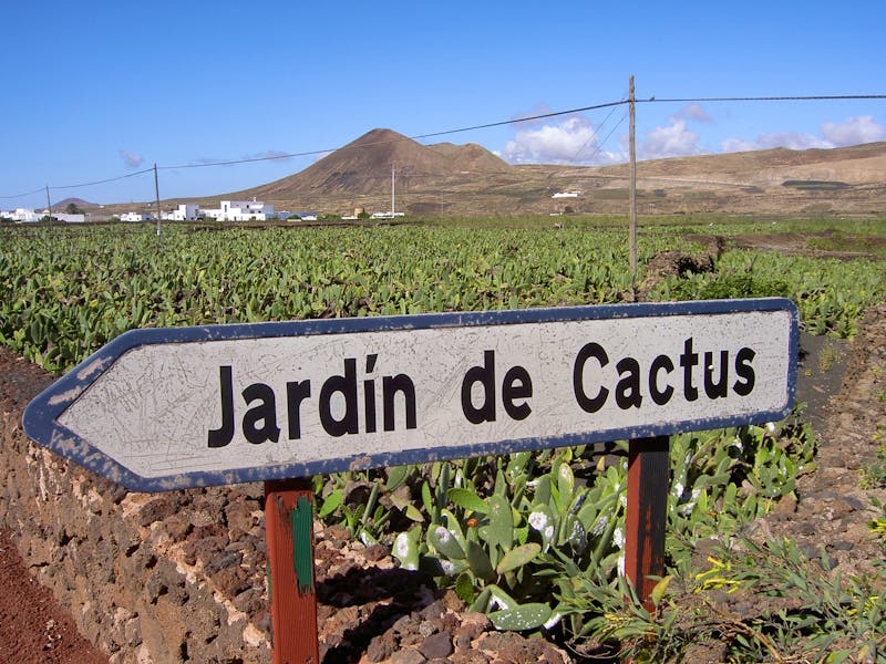 Ausflug zum Jardin de Cactus auf Lanzarote - ©Karsten Thiele - stock.adobe.com