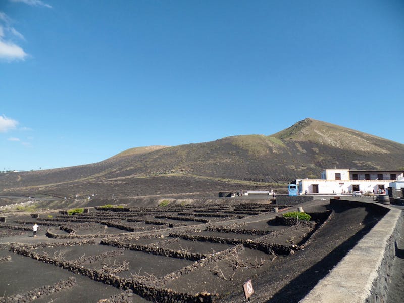Weinanbaugebiet und Bodega La Geria auf Lanzarote - ©Franziska Bergmann - Eberhardt TRAVEL