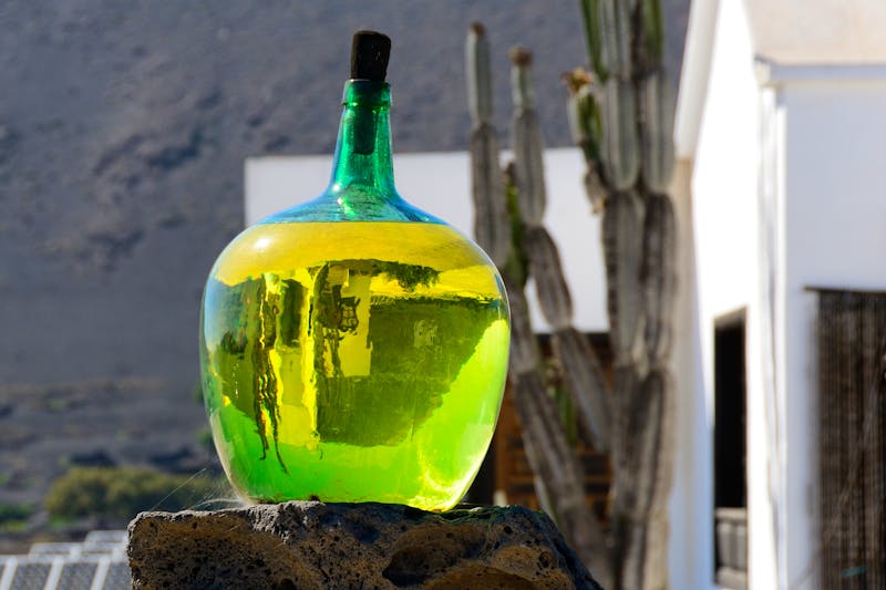 Malvasia Wein auf Lanzarote - ©Oleg Znamenskiy - stock.adobe.com