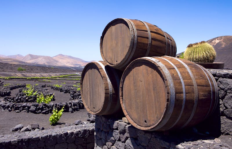 Weinanbau auf Lanzarote - ©Miloslav Doubrava - stock.adobe.com
