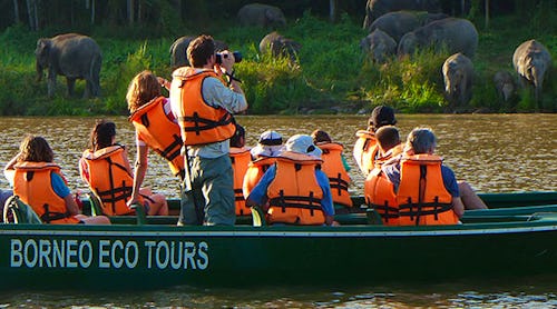 Ecotour Sukau Rainforest Lodge – © Sukau Rainforest Lodge