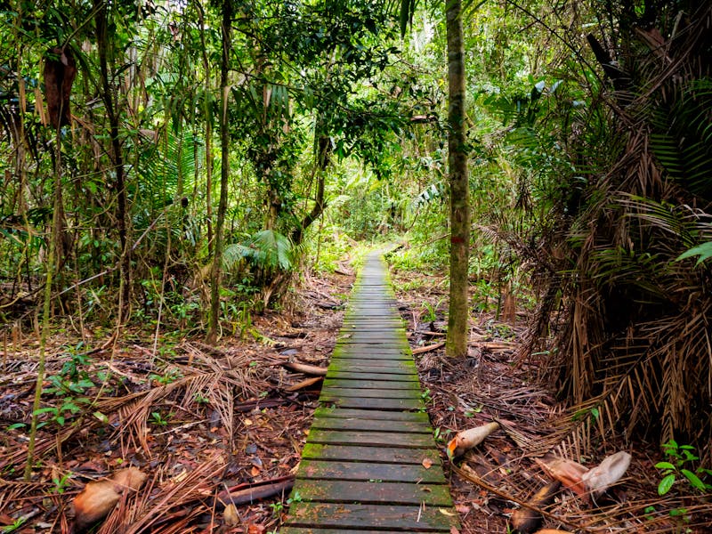 Wandern im Bako-Nationalpark - ©monigre - stock.adobe.com
