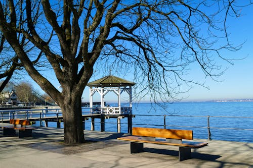 Bregenz am Bodensee - Seepromenade und Pavillon in der Wintersaison &ndash; &copy; ZIHE - stock.adobe.com