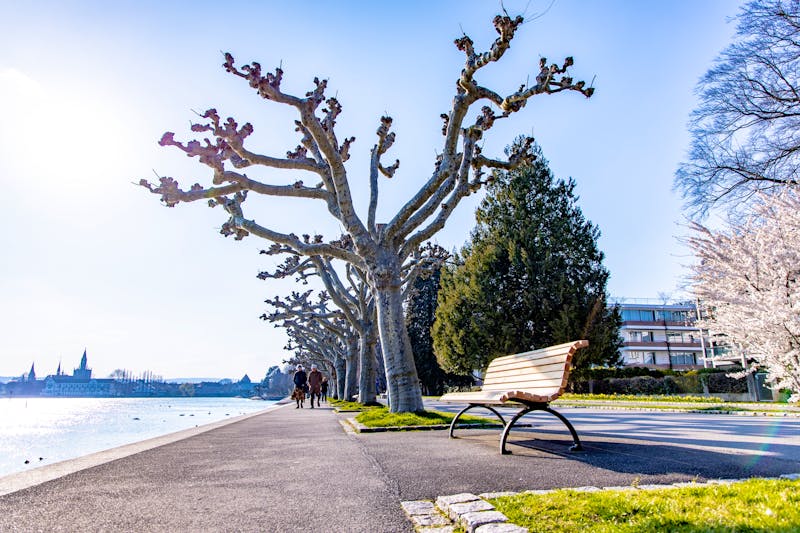 Konstanz am Bodensee - Hafen und Promenade - ©DANLIN Media GmbH - stock.adobe.com