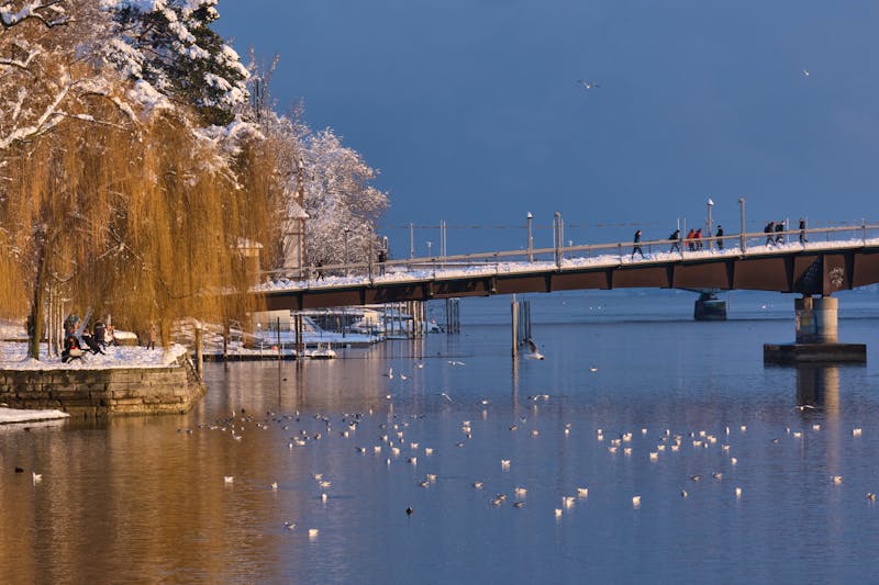 Winter am Bodenseeufer von Konstanz - &copy;Peter Allgaier - stock.adobe.com