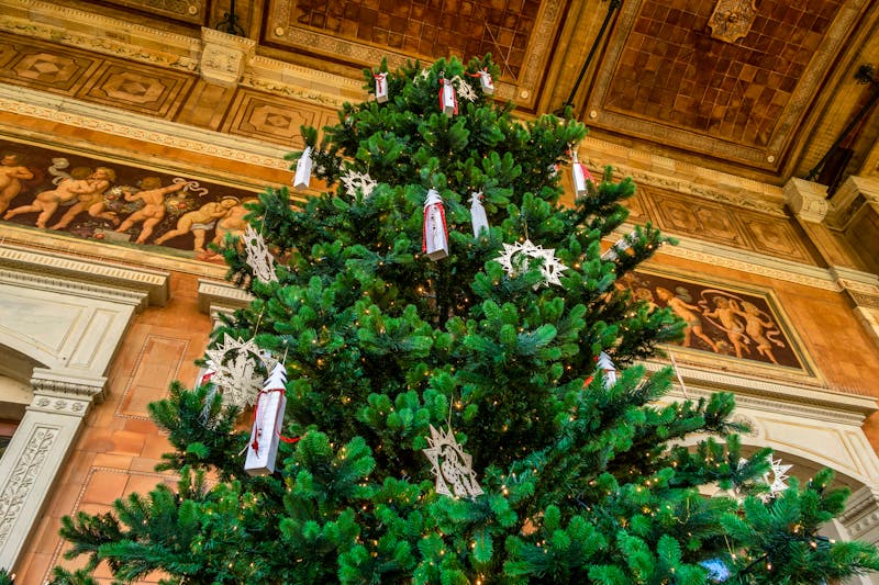 Kurort Baden-Baden - Weihnachtsbaum in der Trinkhalle - ©pwmotion - Stock.Adobe.com