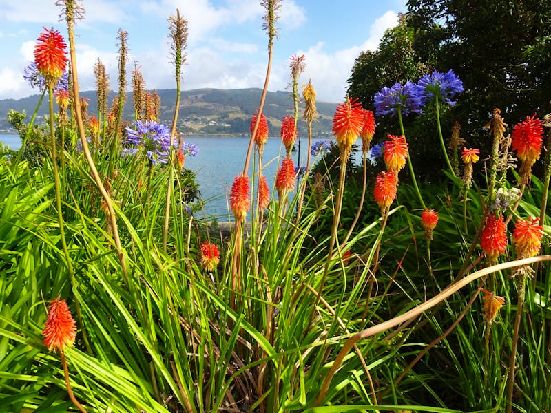 Dunedin - Otago Halbinsel - Glenfalloch Woodland Gardens - ©Sabine Letzybyll - Eberhardt TRAVEL