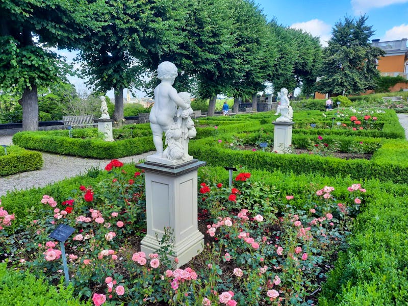 Rosengarten im Freilichtmuseum Skansen - ©Katrin Deutschbein - Eberhardt TRAVEL