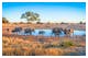 Elefanten im Etosha Nationalpark in Namibia – © Simone - stock.adobe.com