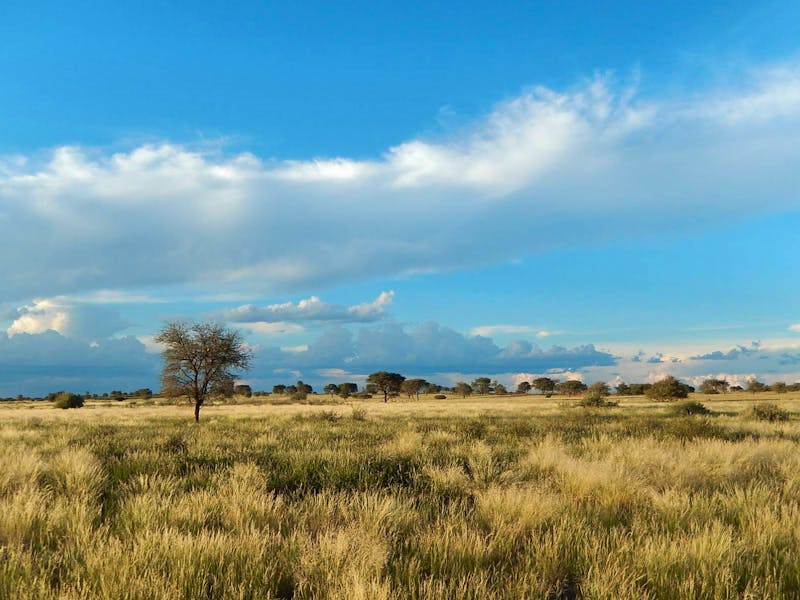 Die Weite Namibias um die Auob Lodge - ©Anna Stiebing - Eberhardt TRAVEL
