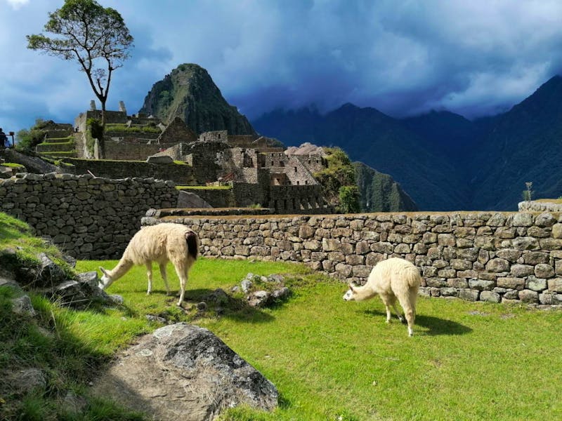 Ausflug in die Inkastadt Machu Picchu - ©Philip Seidel - Eberhardt TRAVEL