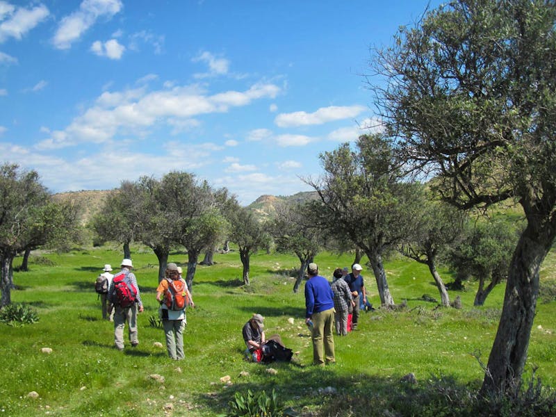 Rast bei der Pissouri-Wanderung - Zypern - ©Britt Reuter-Bracklow