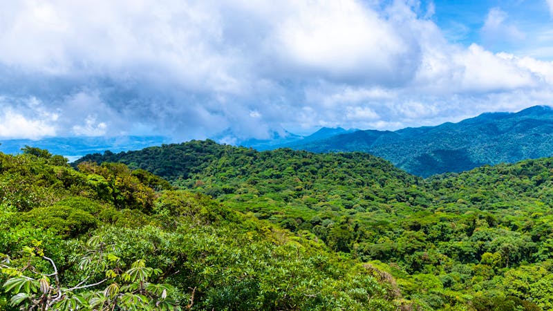 Luftaufnahme des Nationalpark Nationalparks  - ©Jakub - stock.adobe.com