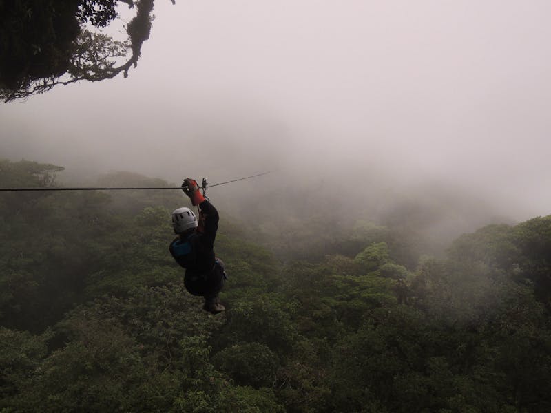 Conopy im Monteverde Nationalpark  - ©JaviJfotografo - stock.adobe.com