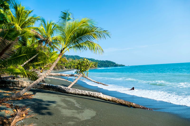Corcovado-Nationalpark  - ©Tobias - stock.adobe.com