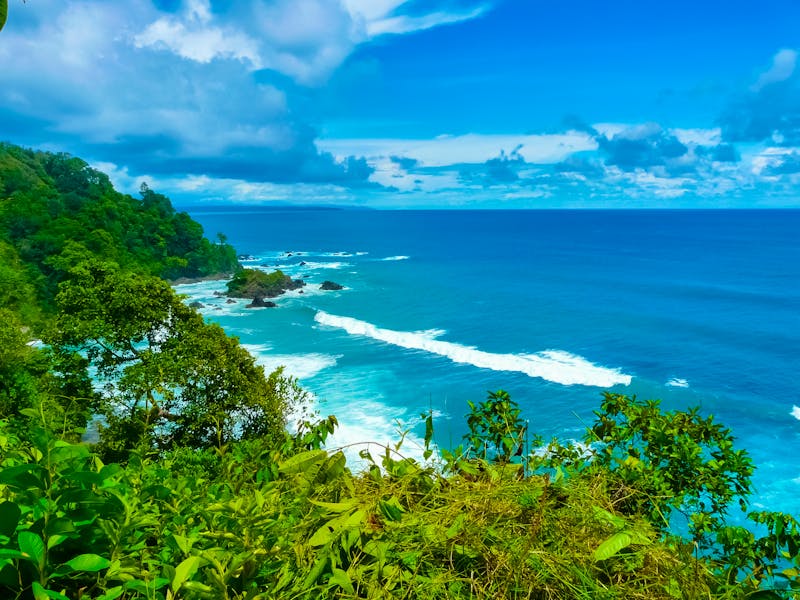 Corcovado-Nationalpark - ©boivinnicolas - stock.adobe.com