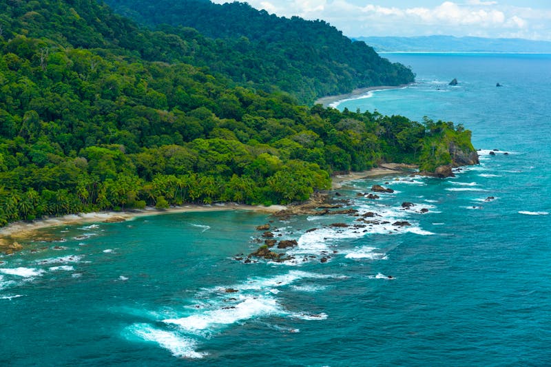 Corcovado-Nationalpark - ©JUAN CARLOS MUNOZ - stock.adobe.com
