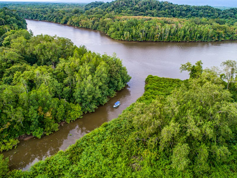 Mangrovenfluss in Sierpe  - ©CL-Medien - stock.adobe.com