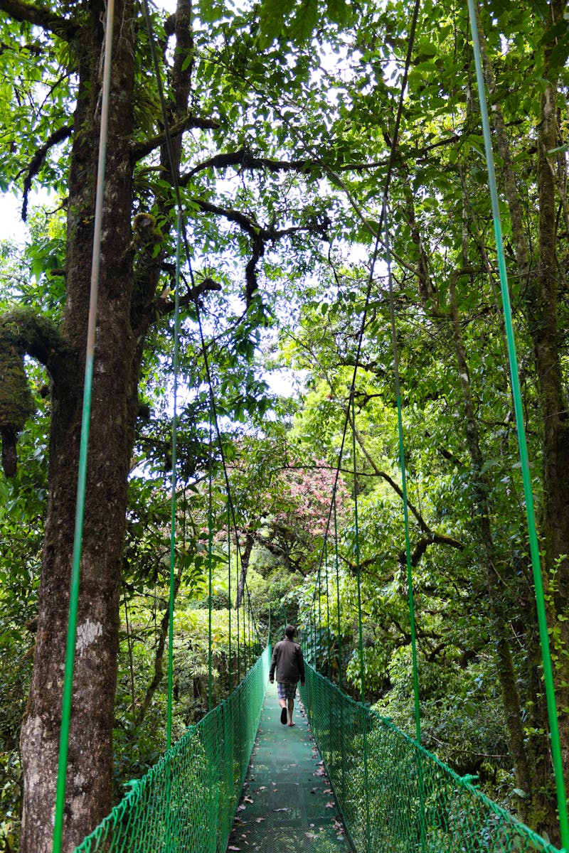 Eine Hängebrücke in San Gerardo de Dota  - ©Sarah - stock.adobe.com