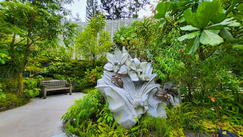 Botanischer Garten in Singapur - ©Franziska Bergmann - Eberhardt TRAVEL