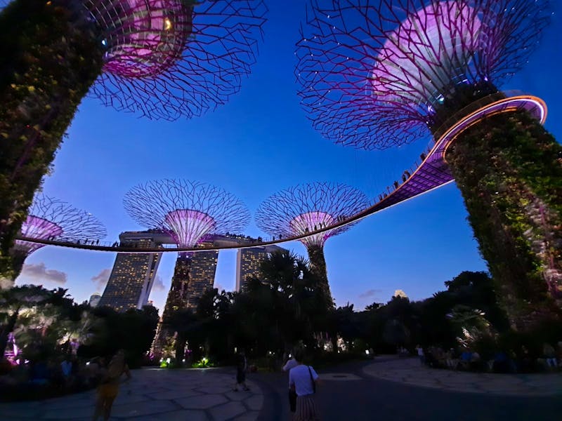 Singapur, Supertree bei Nacht - ©Franziska Bergmann - Eberhardt TRAVEL
