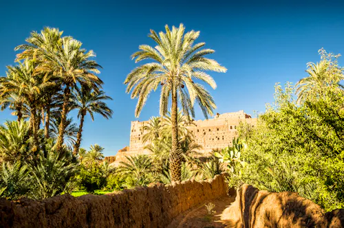 Palmengarten im Draa-Tal &ndash; &copy; streetflash - stock.adobe.com