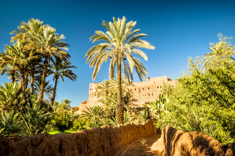 Palmengarten im Draa-Tal - &copy;streetflash - stock.adobe.com
