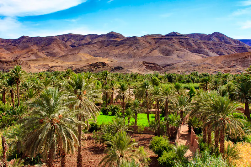 Draa-Tal mit Palmen-Oase in Marokko - &copy;jefwod - stock.adobe.com