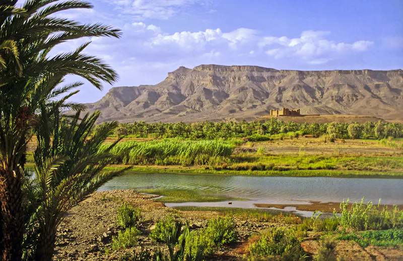 Draa-Tal in Marokko - &copy;Daniel BOITEAU - stock.adobe.com