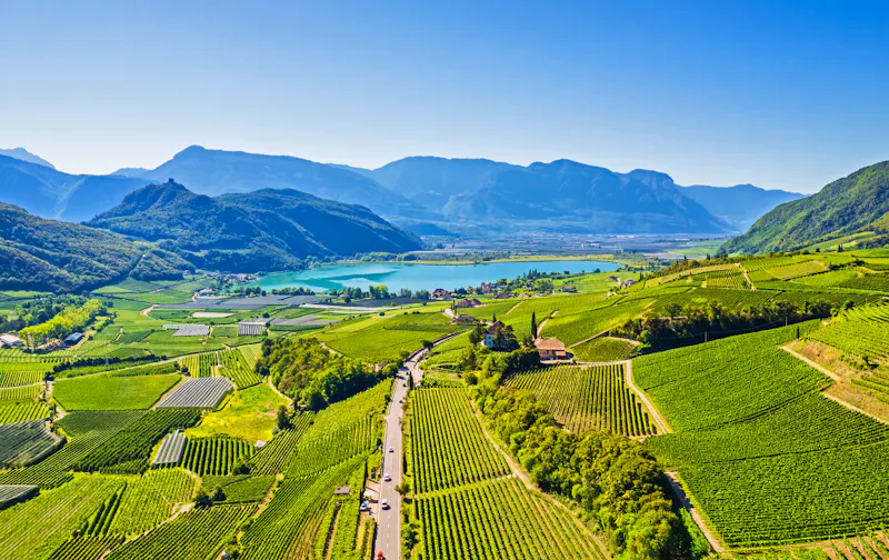 Weinberge rund um den Kalterer See in Südtirol - &copy;dimizu - stock.adobe.com