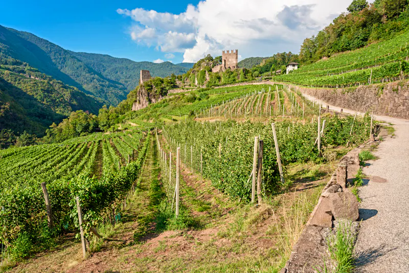 Castello di Segonzano im Trentino - &copy;marinzolich - stock.adobe.com