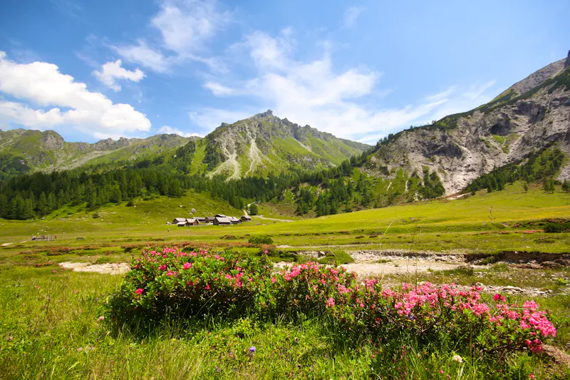 Ursprungalm in Schladming - &copy;bettina sampl - stock.adobe.com