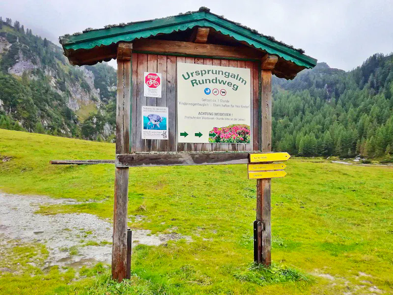 Wanderweg auf der Ursprungalm  - &copy;Martina Pötschke - Eberhardt TRAVEL