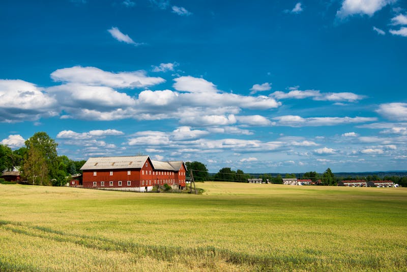 Landschaft bei Hamar - Hedmark - ©LIGHTFIELD STUDIOS - stock.adobe.com