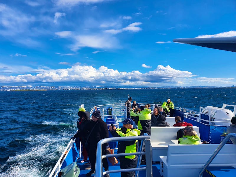 Walsafari vor Reykjavik - ©Sophia Bär - Eberhardt TRAVEL