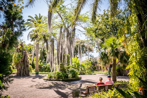 Jardin Botanico in Puerto de la Cruz &ndash; &copy; MARIMA - stock.adobe.com