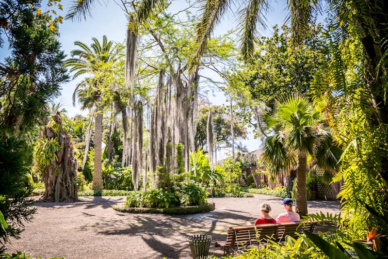 Jardin Botanico in Puerto de la Cruz - ©MARIMA - stock.adobe.com